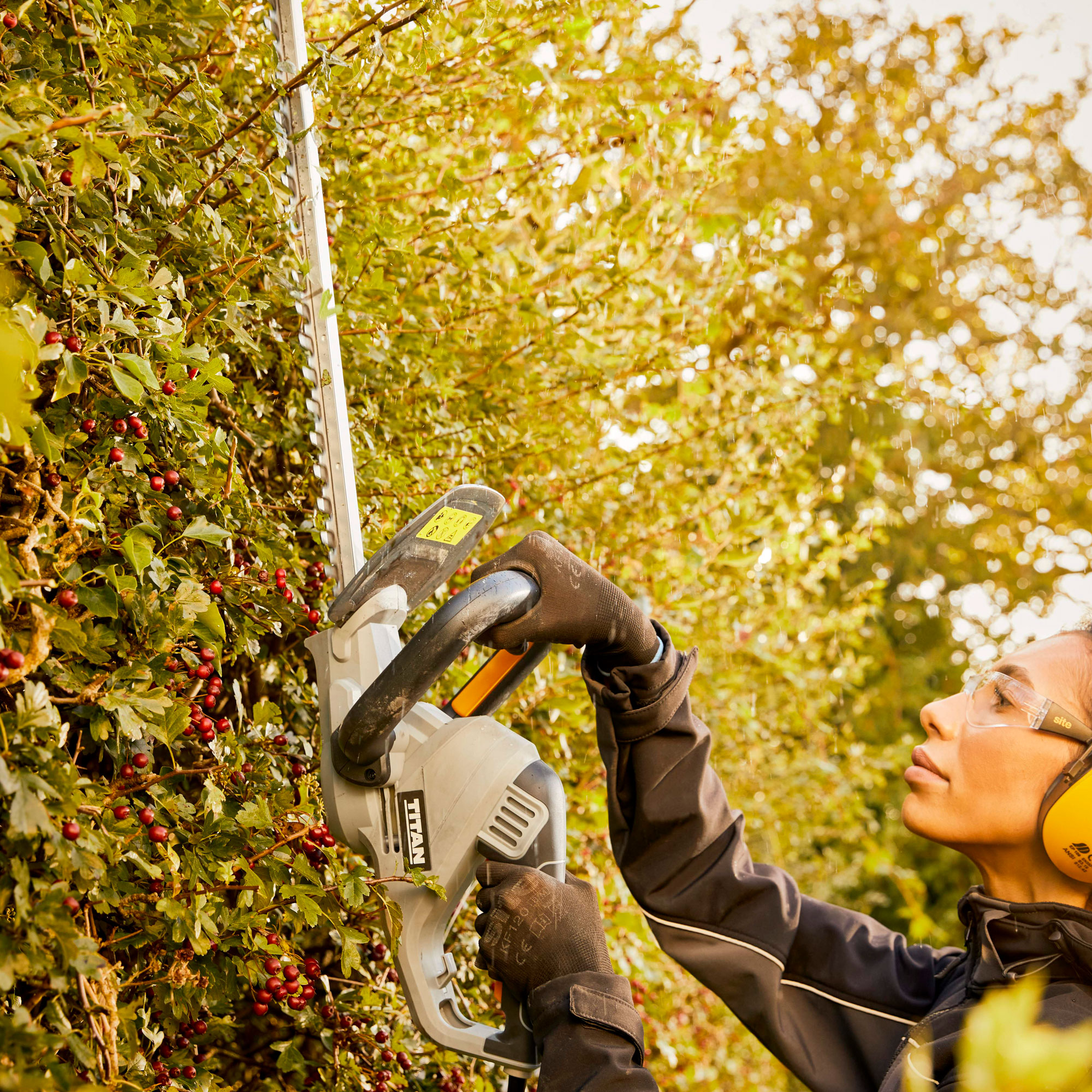woman trimming hedge with hedge trimmer