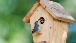 Nesting box