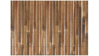 bamboo fencing