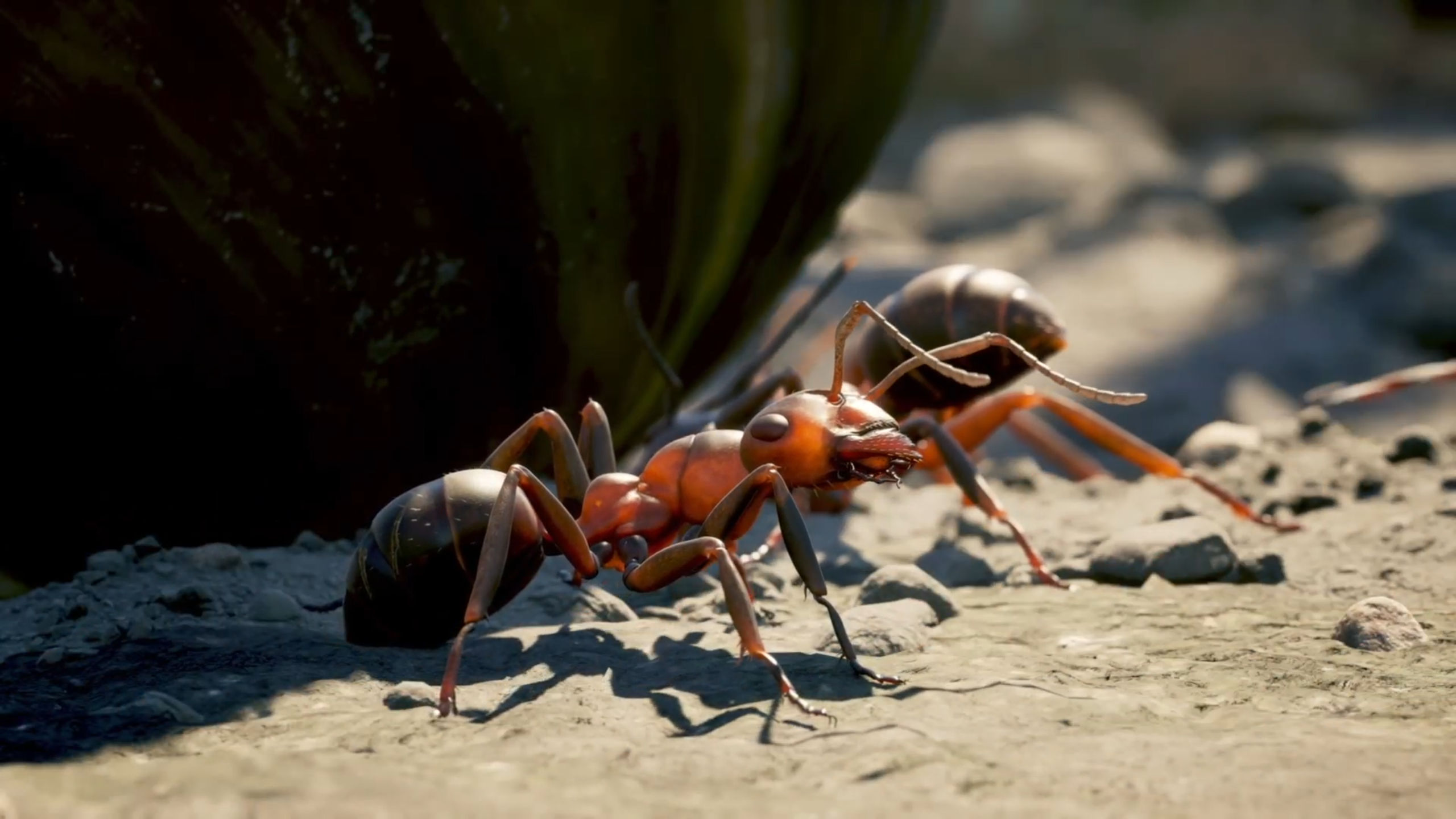 Empire of the Ants on Xbox Series X is one of the 2024's most visually striking game, and it's all about buggy gameplay.