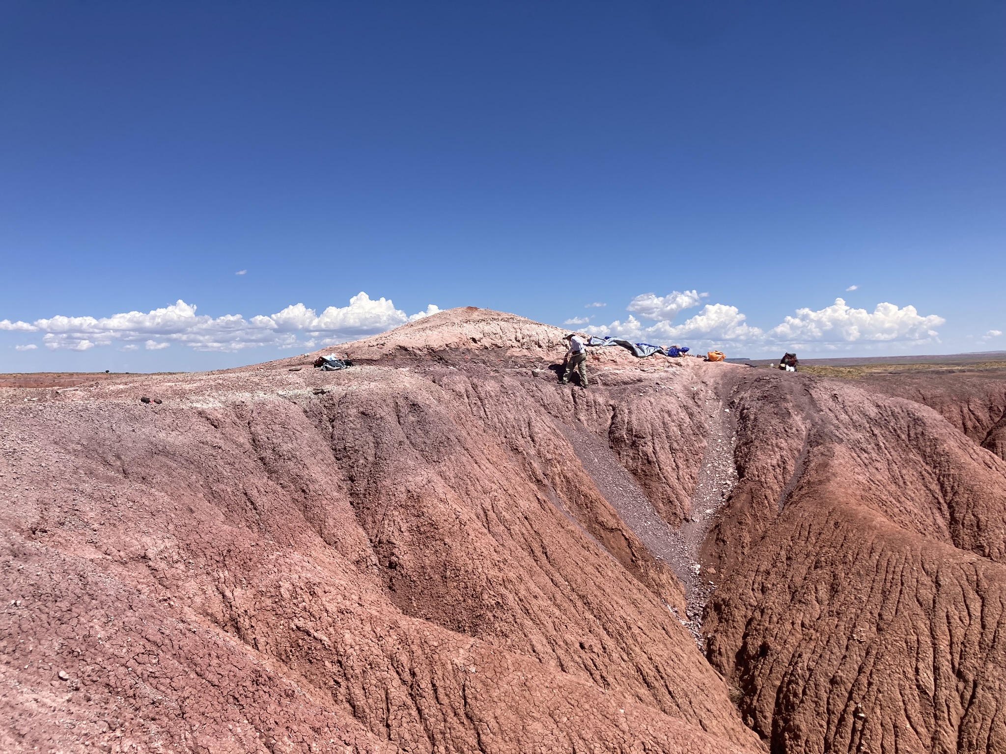 A photograph of the rock formation in Arizona where researchers discovered a cache of Triassic fossils.