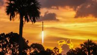 A rocket is seen climbing in a bright orange dawn sky with a palm tree and other foliage silhouetted in the foreground