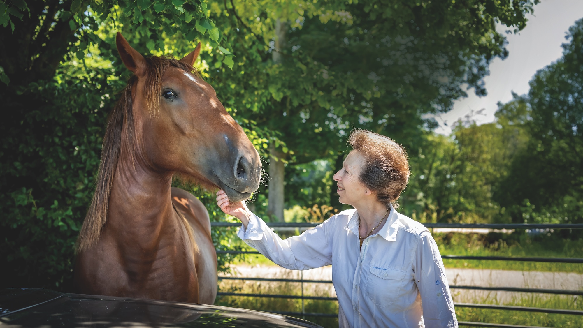 Princess Anne with one of her Suffolk horses