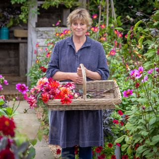 Sarah Raven holding woven basket of cut dahlia flowers in garden