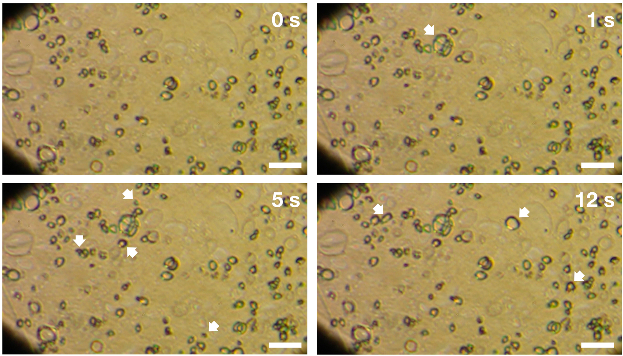 Bubbles in water-methanol-ammonia ice