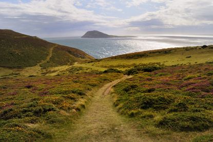 Bardsey Island from the hills above Aberdaron on the Llŷn Peninsula, North Wales.