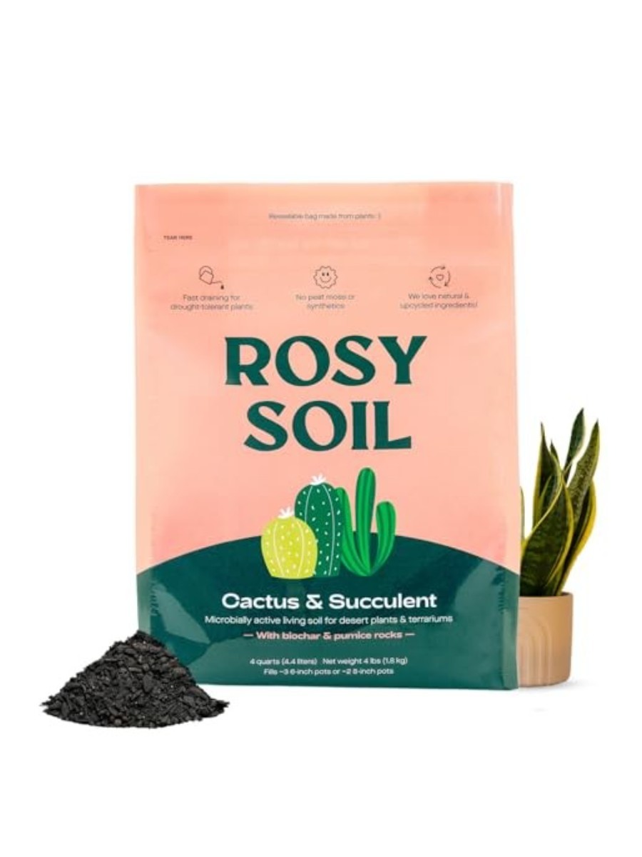 Rosy Soil, Cactus and Succulent Potting Mix