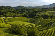Asolo-Prosecco_Estate-1.jpg