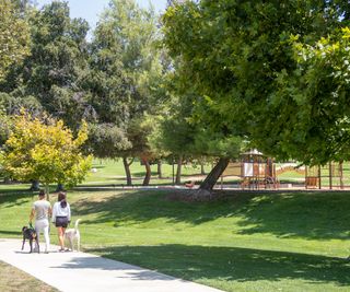 people walking dogs in a community garden