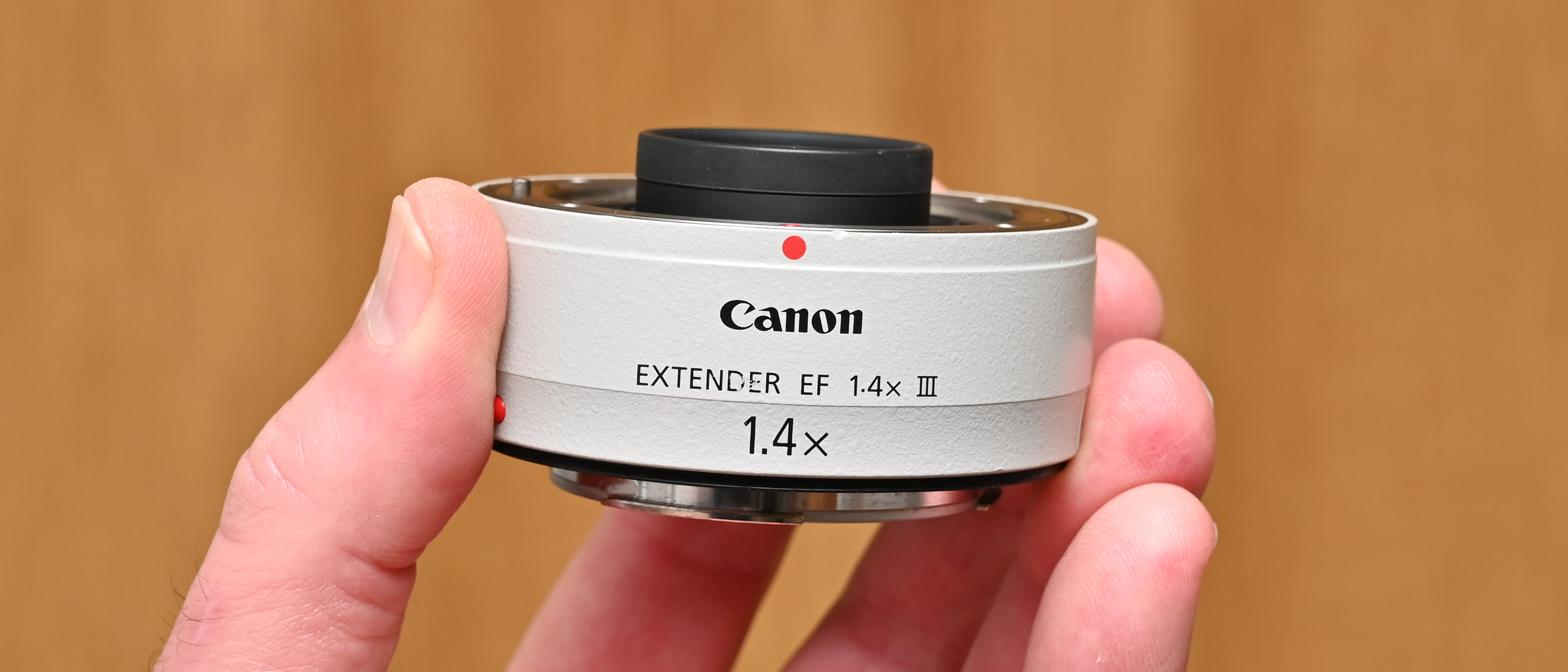 Canon Extender EF 1.4x III review: extend your telephoto reach 