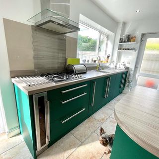 a kitchen with green cupboards and long silver handles, with a sink underneath the window and a small dog peeking around the cupboards
