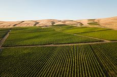 Washington-State_hills.jpg