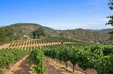 california wine ranch, property sale