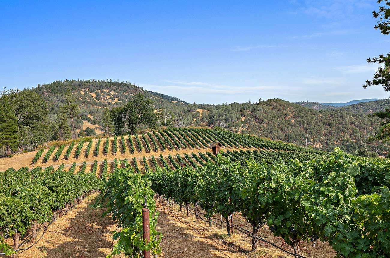 california wine ranch, property sale