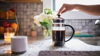A classic French press on a kitchen countertop