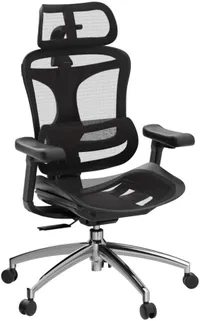 Sihoo Doro C300 office chair