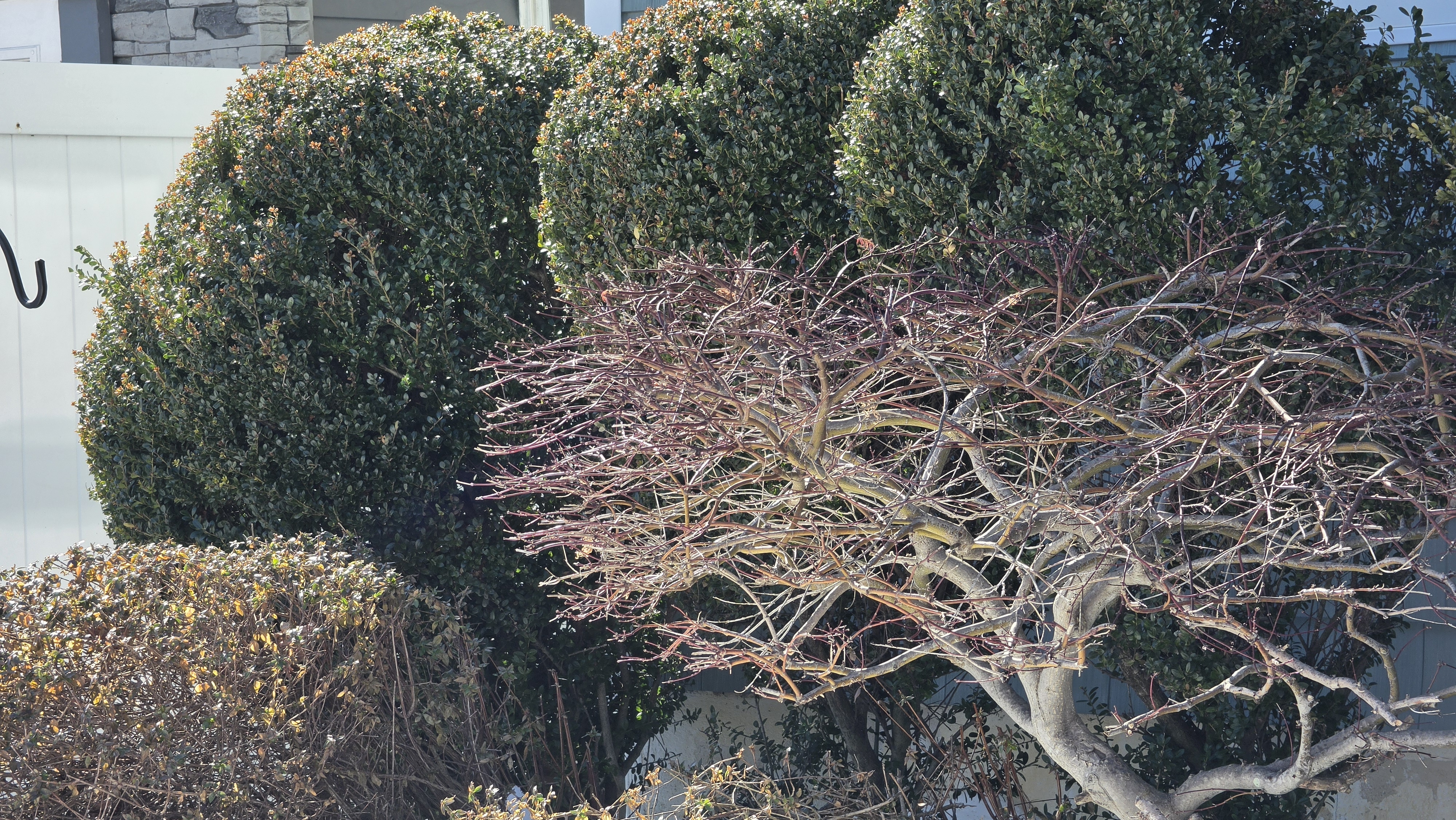 Samsung Galaxy S26 Ultra