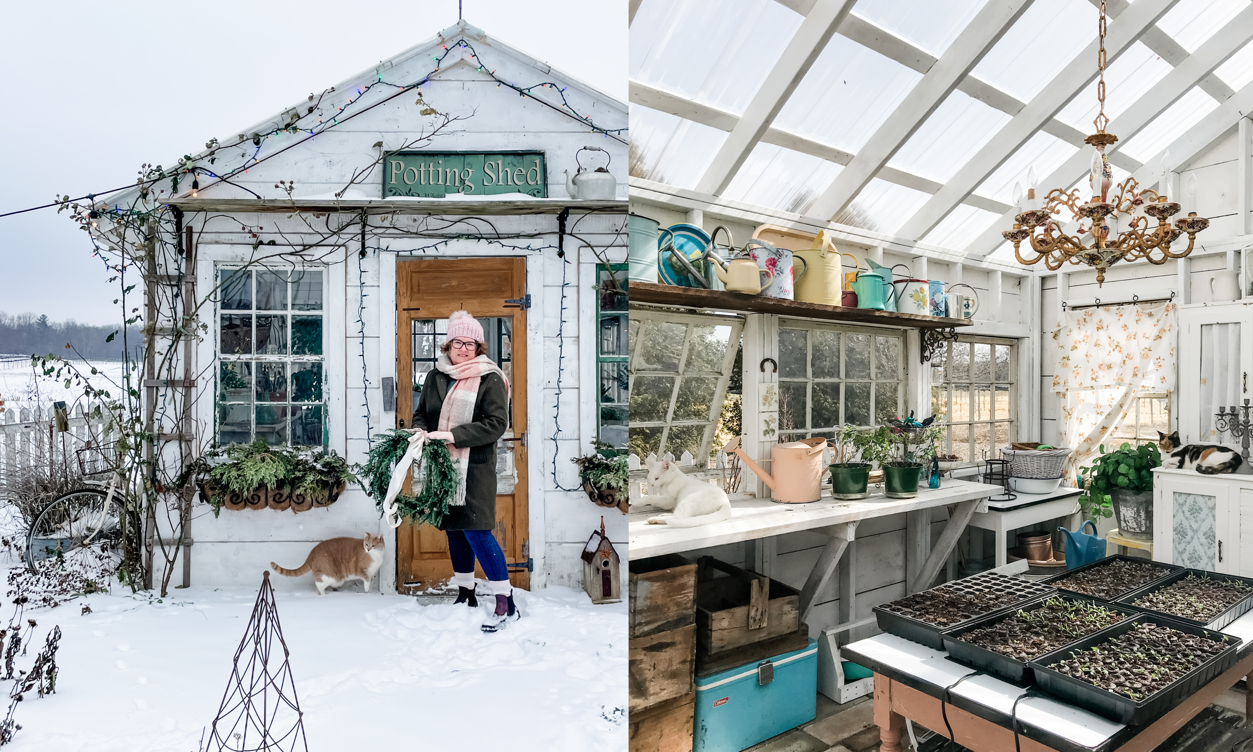 Split image of woman stood outside white potting shed in snow, and potting bench with seed trays on it