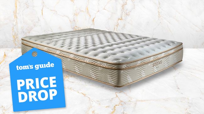 what-is-a-purple-mattress-and-are-they-worth-the-money-i-m-a-mattress