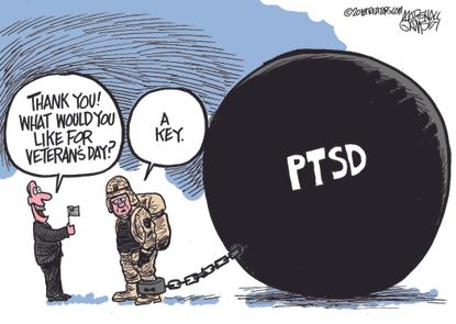 U.S. Veterans Day thank you for service PTSD