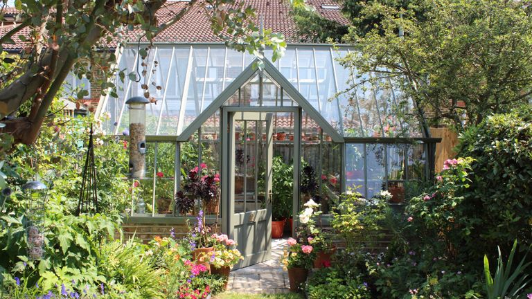 how to organize a greenhouse
