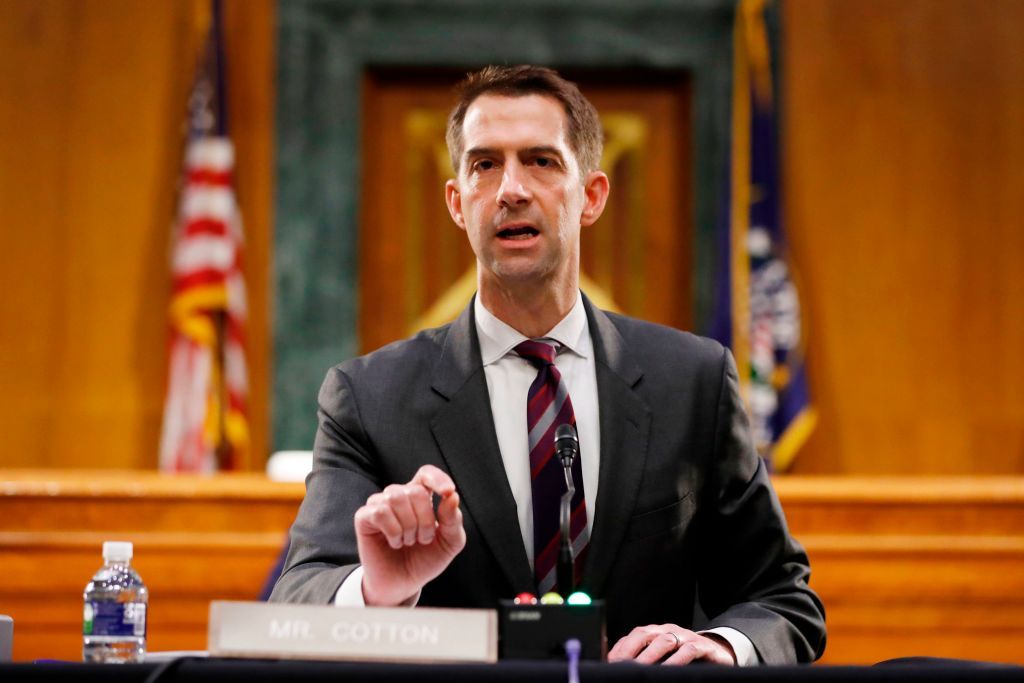 Tom Cotton.