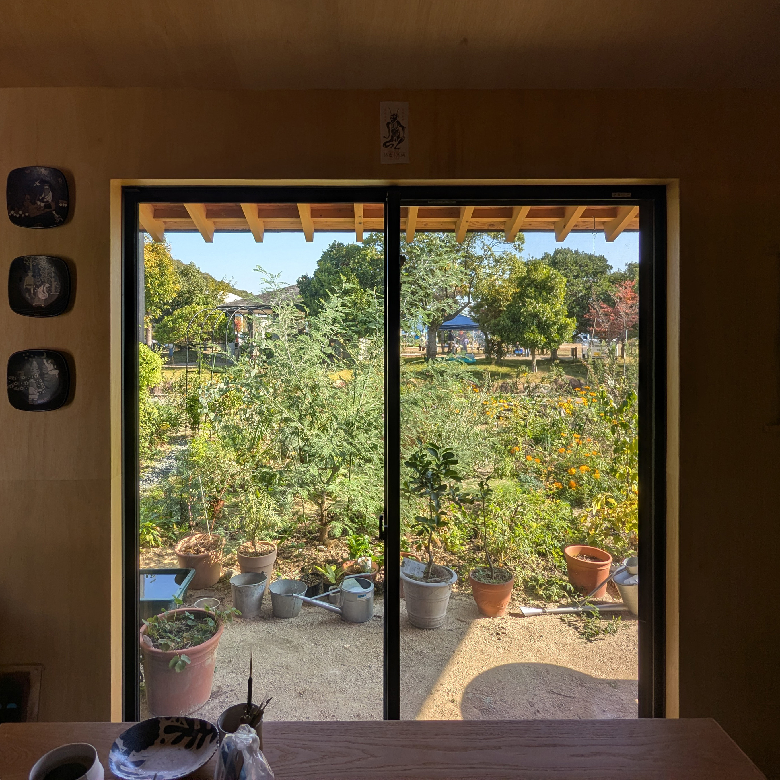 On a recent site visit the architects captured the garden in a more mature state