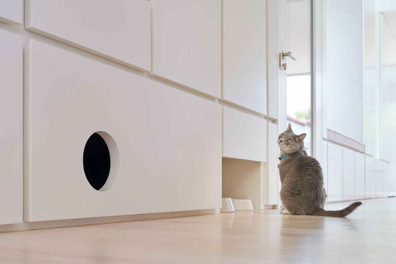 a hidden litter box and pet bowls in a hallway