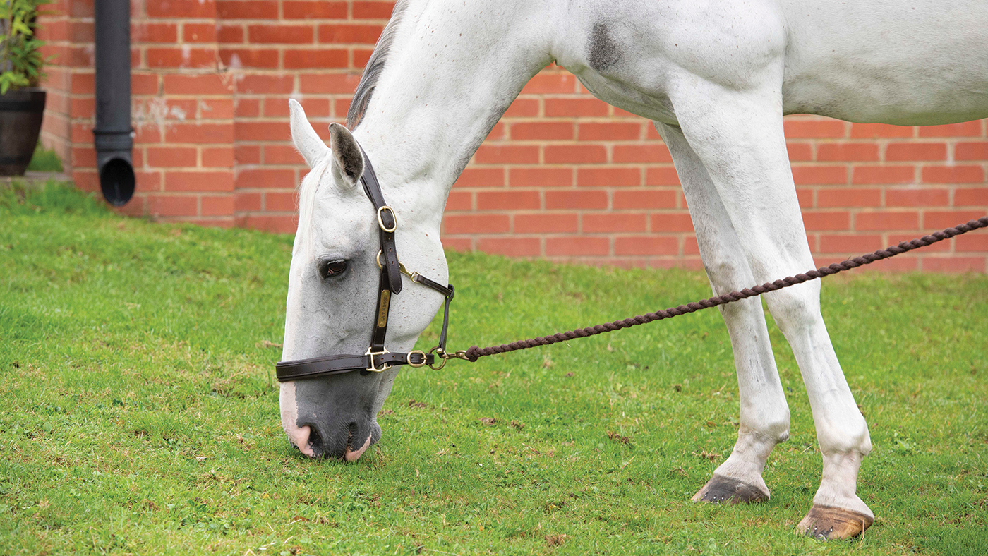 Hand grazing