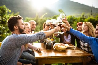 group tours for solo travellers in Napa Valley