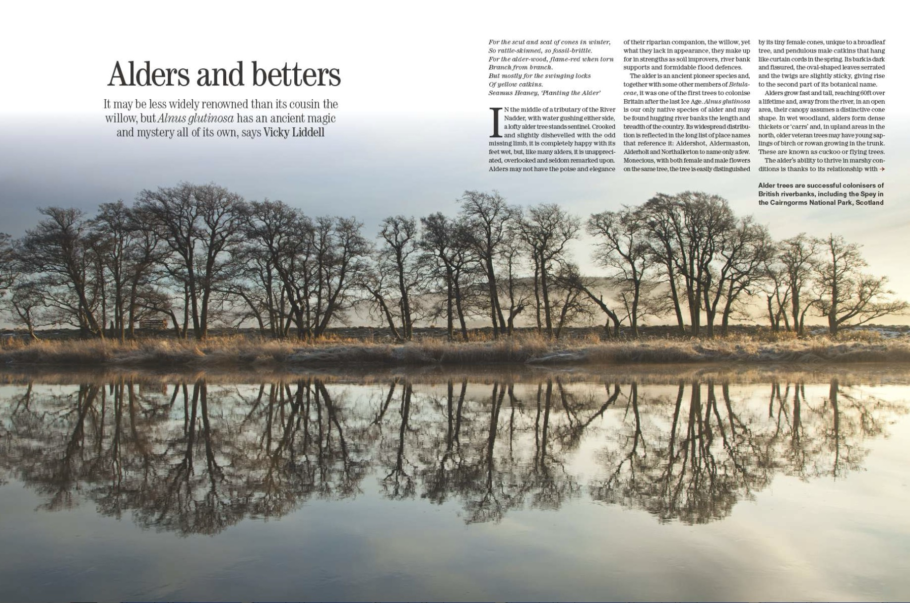 Spread from Country Life July 29, 2026