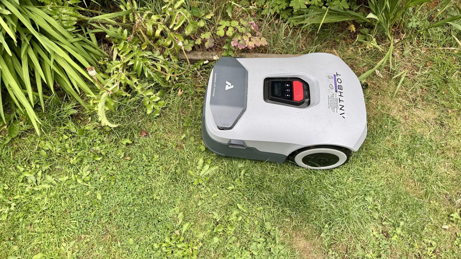 Anthbot Genie 300 robot lawn mower in reviewer's yard