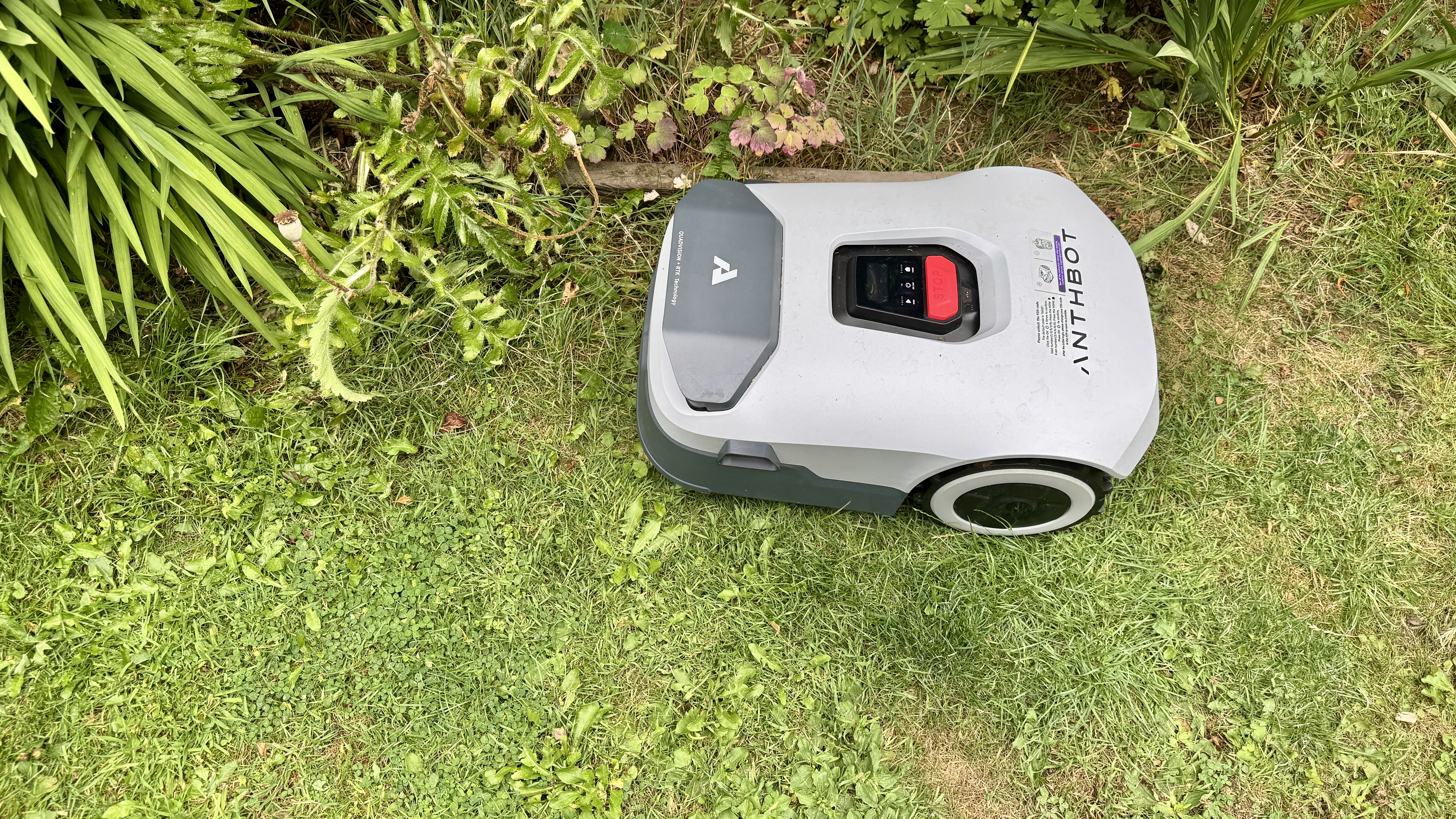 Anthbot Genie 300 robot lawn mower in reviewer's yard