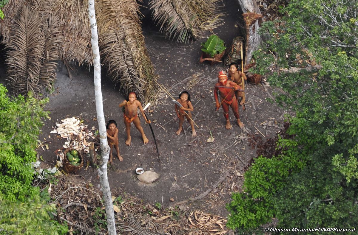 An uncontacted tribe from above