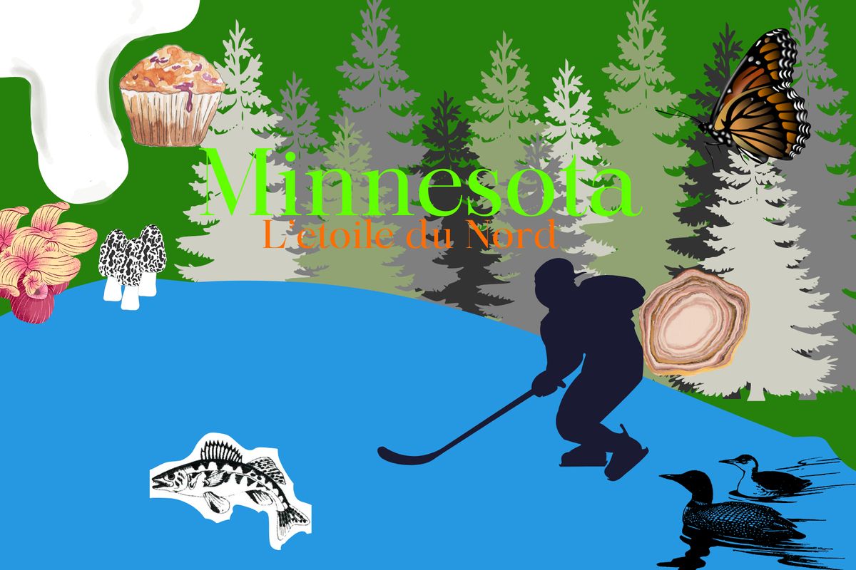New Minnesota flag