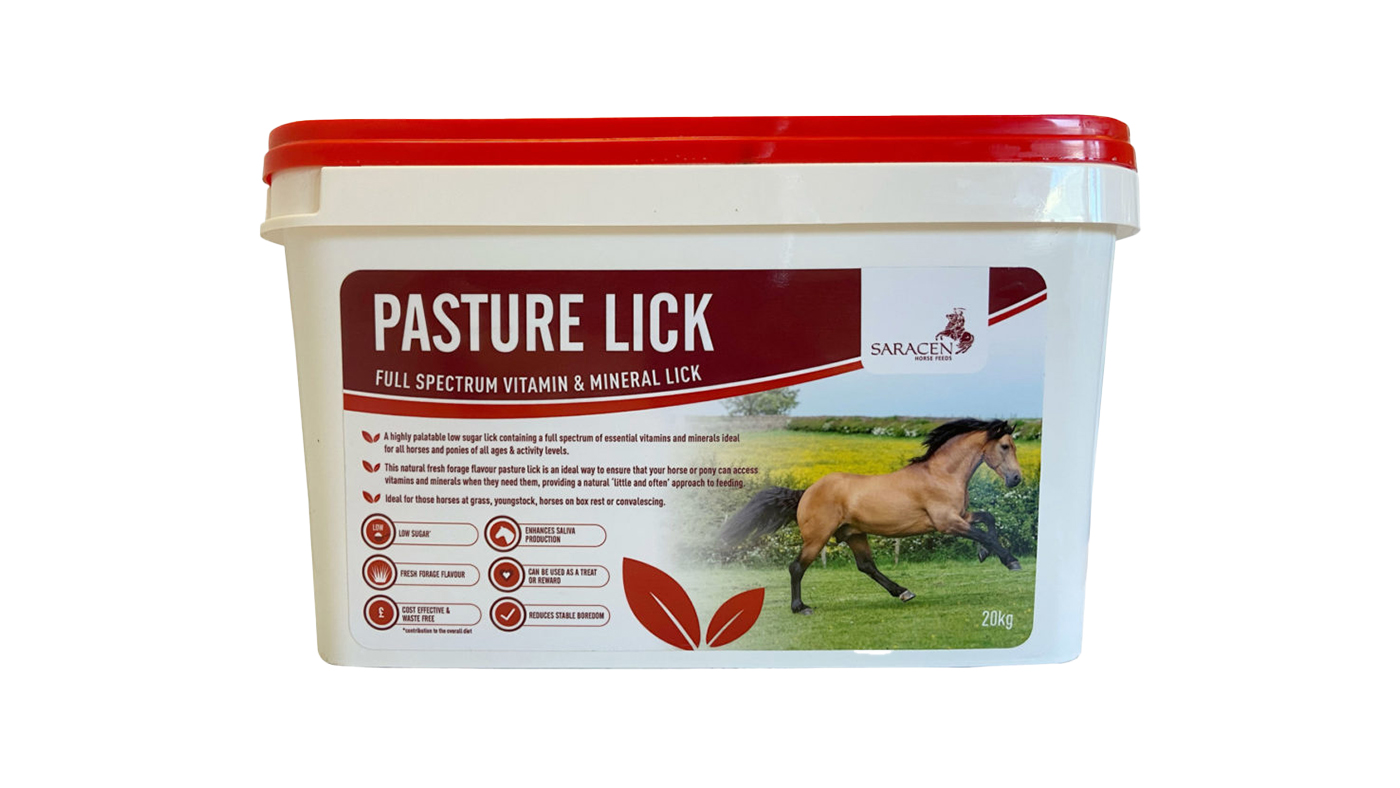 Saracen Pasture Lick for horses 20kg