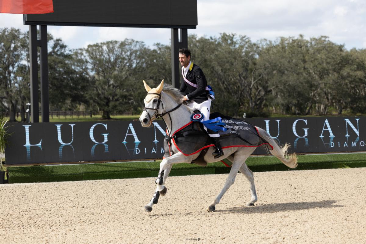 Showjumping news: Rowan Willis finds winning form with his home-bred Wellington Grey Goose