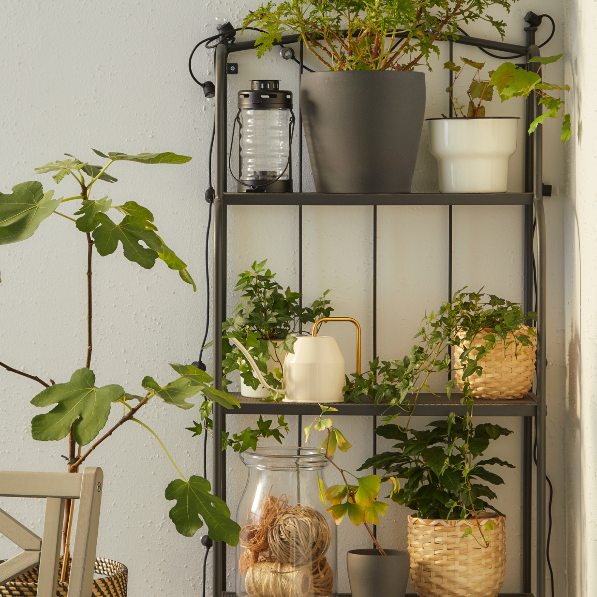 IKEA L&amp;Auml;CK&amp;Ouml; shelving unit with plants in baskets and a watering can