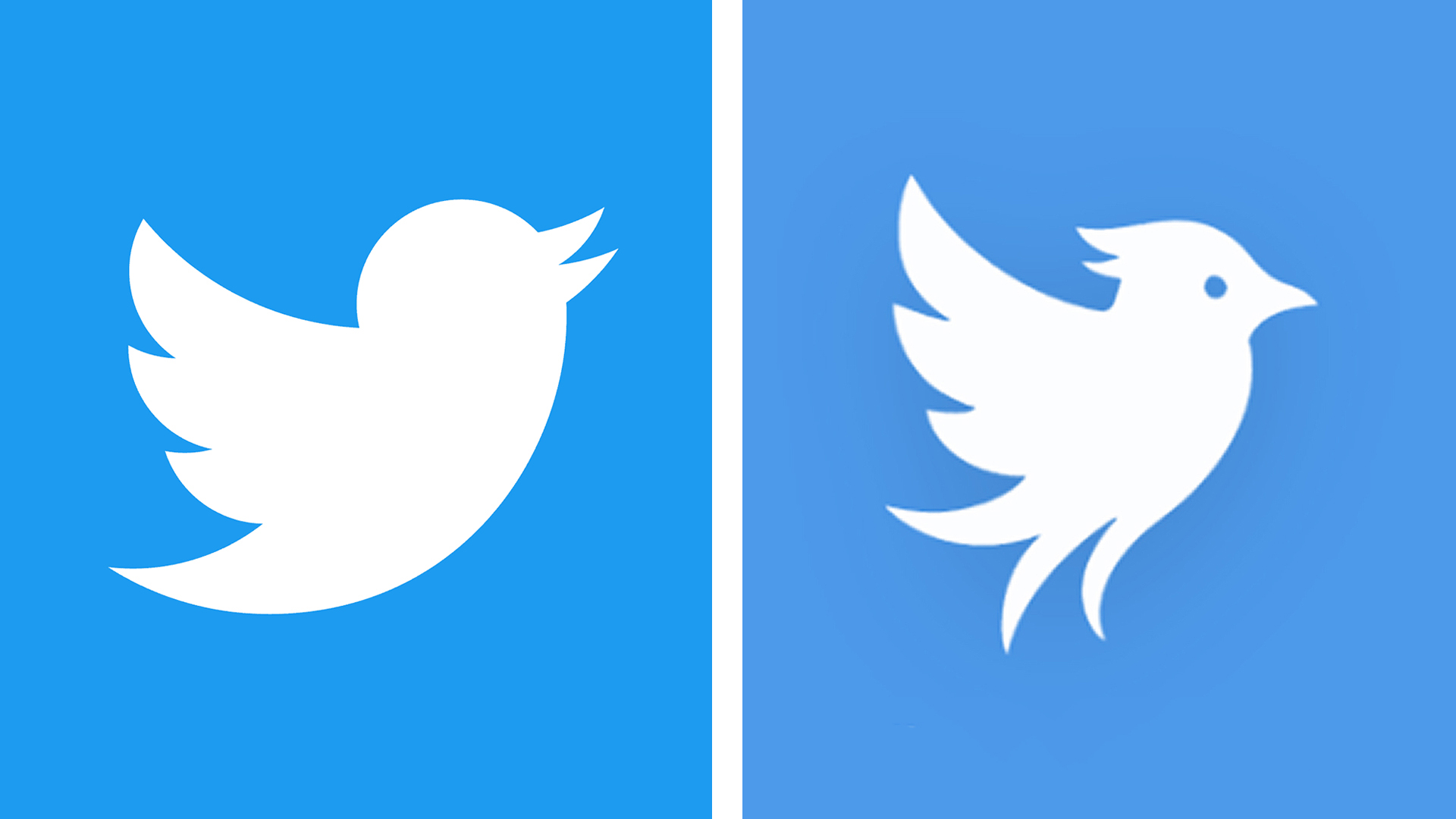 The return of Twitter could be a happy ending after the worst rebrand of all time