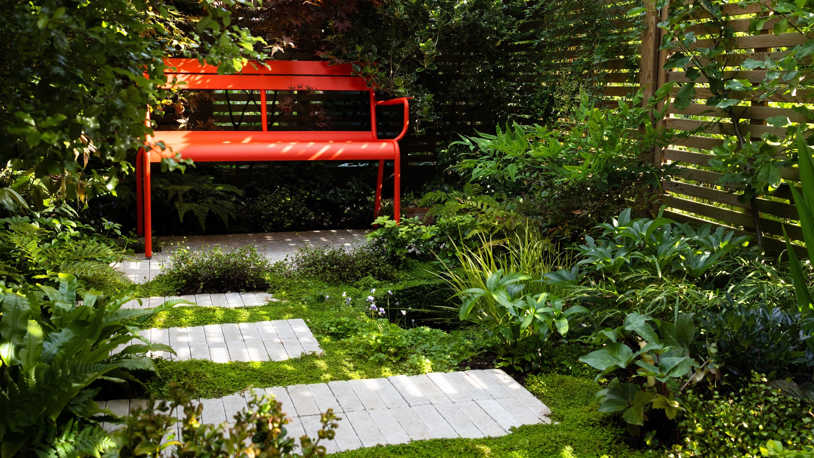Red bench in the top right hand corner of a shaded garden with lots of plants all around it