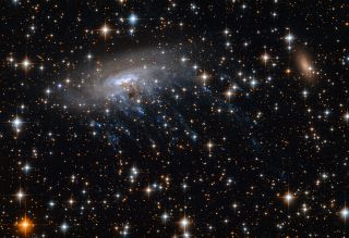 This Hubble Space Telescope image shows the spiral galaxy ESO 137-001, framed against a bright background as it moves through the heart of galaxy cluster Abell 3627. The bright blue streaks (seen in ultraviolet light) are wispy streams of gas being torn away from the galaxy, scientists say.
