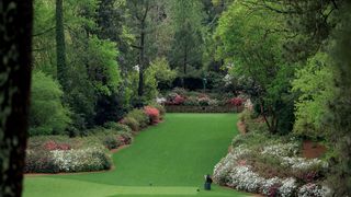 The new 13th tee box at Augusta National
