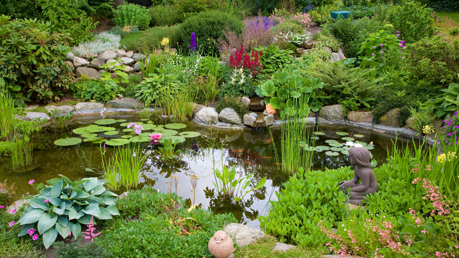 Garden pond surround by and filled with various plants