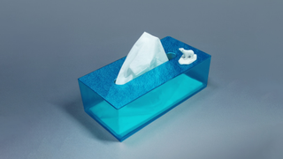The iceberg tissue box