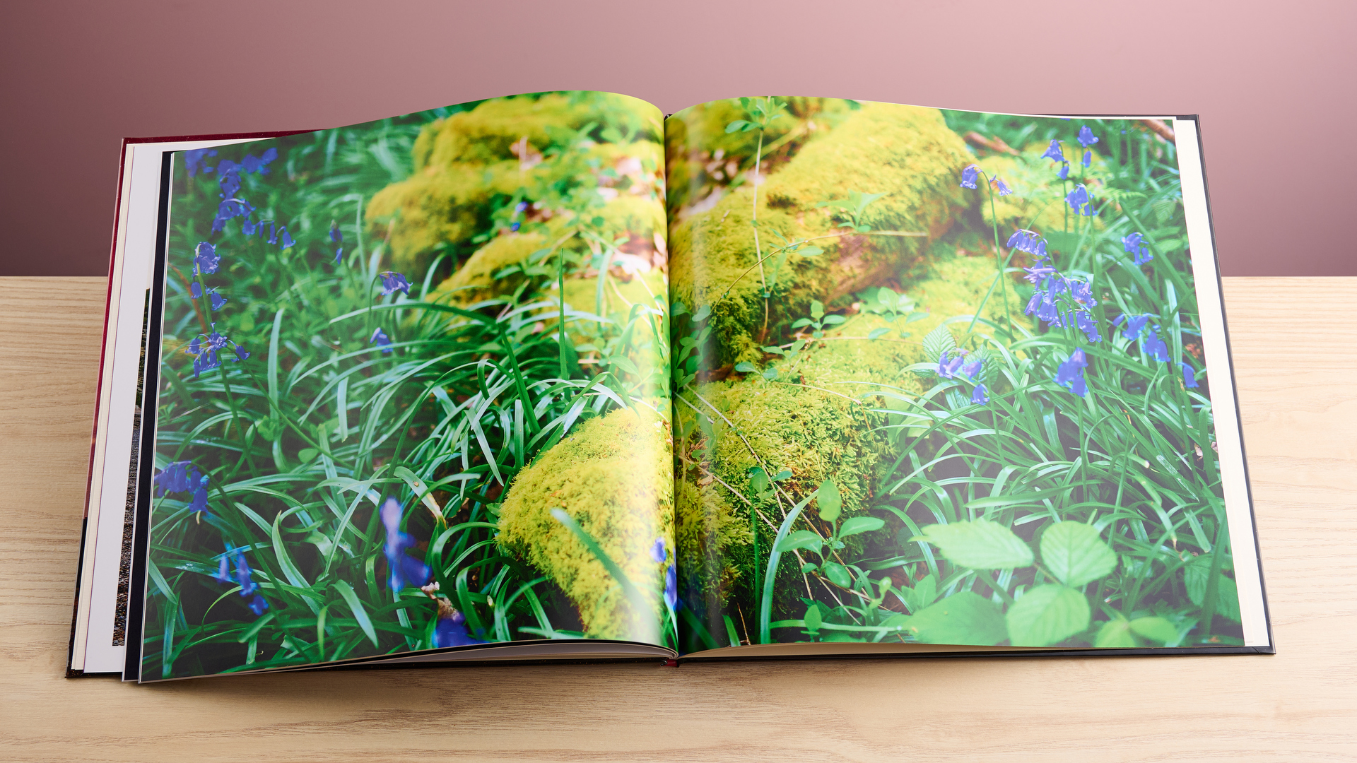 Nature picture in Cewe photo book
