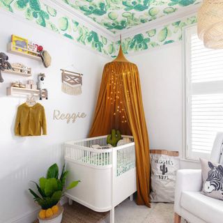 Nursery room with white walls and green and white patterned ceiling. Cot with curtain suspended from the ceiling.