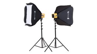 Interfit Honey Badger 320ws 2-Light Kit - one of the best softbox lighting kits