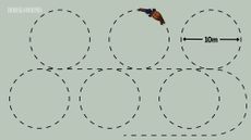A diagram showing horse training exercise practising a sequence of alternate 10m circles