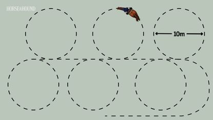 A diagram showing horse training exercise practising a sequence of alternate 10m circles