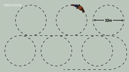 A diagram showing horse training exercise practising a sequence of alternate 10m circles